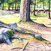 Karen Frampton, New Forest Artist, paintings, greeting cards, murals, slate, Hampshire, UK